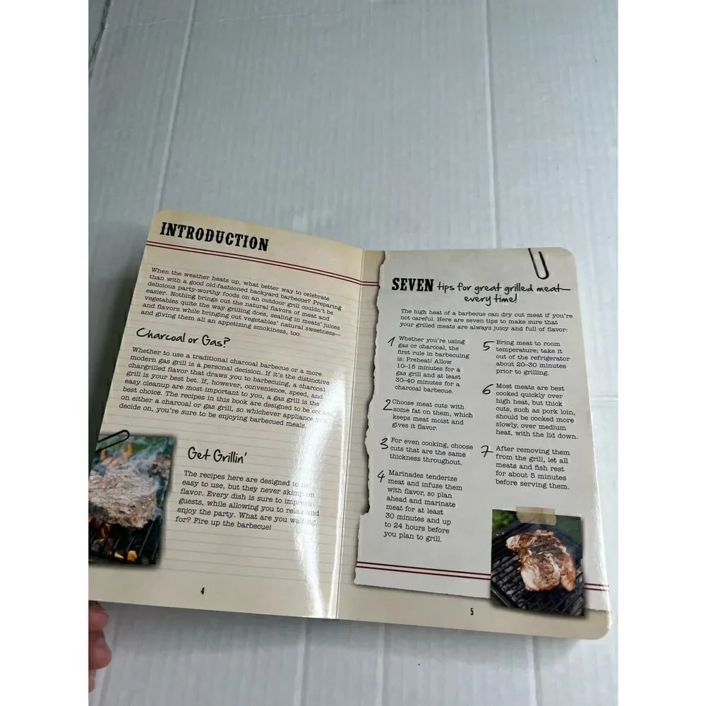 3/$15 or 5/$20 BBQ Sizzling Recipes board book cookbook